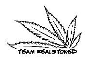 TEAM REALSTONED