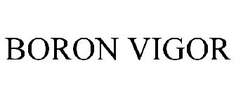 BORON VIGOR
