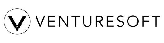 V VENTURESOFT