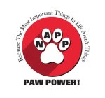 BECAUSE THE MOST IMPORTANT THINGS IN LIFE AREN'T THINGS NAPP PAW POWER!