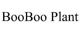 BOO-BOO PLANT