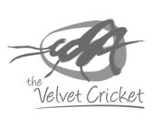 THE VELVET CRICKET