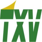 TXV