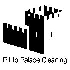 PIT TO PALACE CLEANING