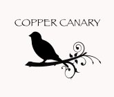 COPPER CANARY