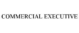 COMMERCIAL EXECUTIVE