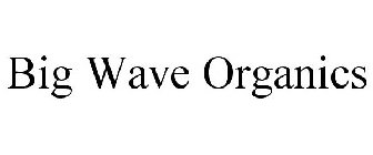 BIG WAVE ORGANICS