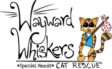 WAYWARD WHISKERS SPECIAL NEEDS CAT RESCUE