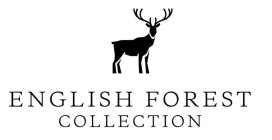ENGLISH FOREST COLLECTION