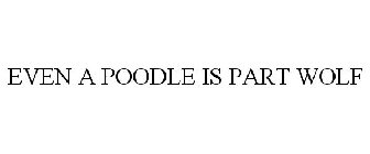 EVEN A POODLE IS PART WOLF