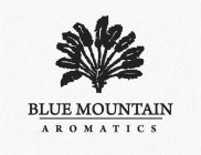 BLUE MOUNTAIN AROMATICS