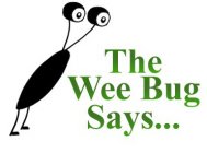 THE WEE BUG SAYS...