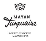 MAYAN TURQUOISE INSPIRED BY ANCIENT MAYAN RECIPES.