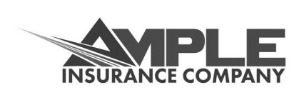 AMPLE INSURANCE COMPANY