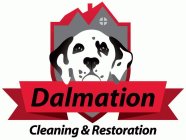 DALMATION CLEANING & RESTORATION