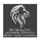 STEALTH LEARNING COMPANY BEAST MODE LEARNING