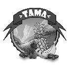 TAMA