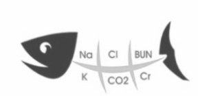 NA CL BUN K CO2 CR