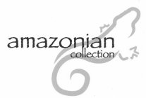 AMAZONIAN COLLECTION