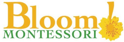 BLOOM MONTESSORI