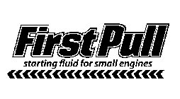 FIRST PULL STARTING FLUID FOR SMALL ENGINES