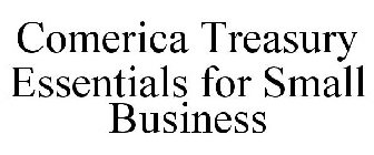 COMERICA TREASURY ESSENTIALS FOR SMALL BUSINESS