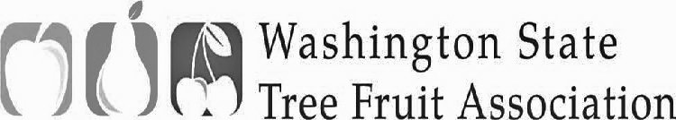 WASHINGTON STATE TREE FRUIT ASSOCIATION