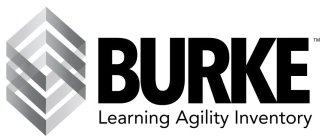 BURKE LEARNING AGILITY INVENTORY