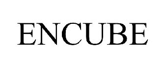 ENCUBE