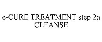 E-CURE TREATMENT STEP 2A CLEANSE