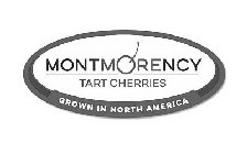 MONTMORENCY TART CHERRIES GROWN IN NORTH AMERICA