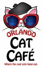 ORLANDO CAT CAFÉ WHERE THE COOL CATS HANG OUT.
