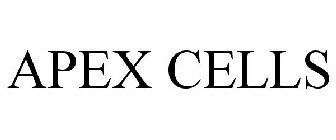 APEX CELLS