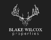 BLAKE WILCOX PROPERTIES