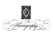 FLORIOGRAPHY NAMAQUALAND WESTERN CAPE SOUTH AFRICA  SELECTION 2 0 1 5