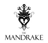 THE MANDRAKE
