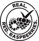 REAL. RED. RASPBERRIES.
