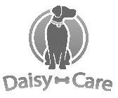 DAISY CARE