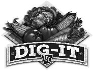 DIG-IT TSC