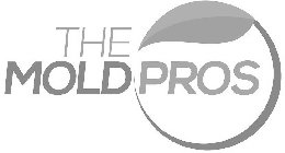 THE MOLD PROS