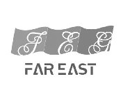 FEG FAR EAST