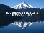 BLUEBERRIES BLEUETS PATAGONIA