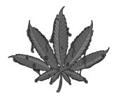 Image Trademark