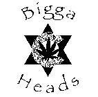 BIGGA C HEADS