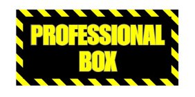 PROFESSIONAL BOX