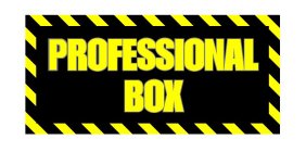 PROFESSIONAL BOX
