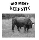 BIG MEAT BEEF STIX