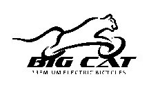 BIG CAT PREMIUM ELECTRIC BICYCLES