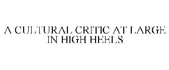 A CULTURAL CRITIC AT LARGE IN HIGH HEELS