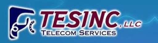 TESINC LLC TELECOM SERVICES C